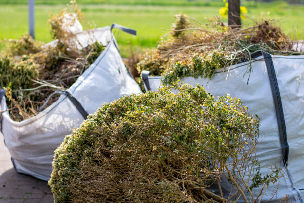Best Furniture Removal  in Crow Agency, MT